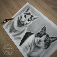 portrety_na_zamowienie15