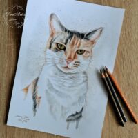 portrety_na_zamowienie16