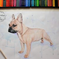 portrety_na_zamowienie63