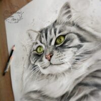 portrety_na_zamowienie65