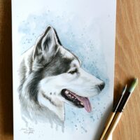 portrety_na_zamowienie78